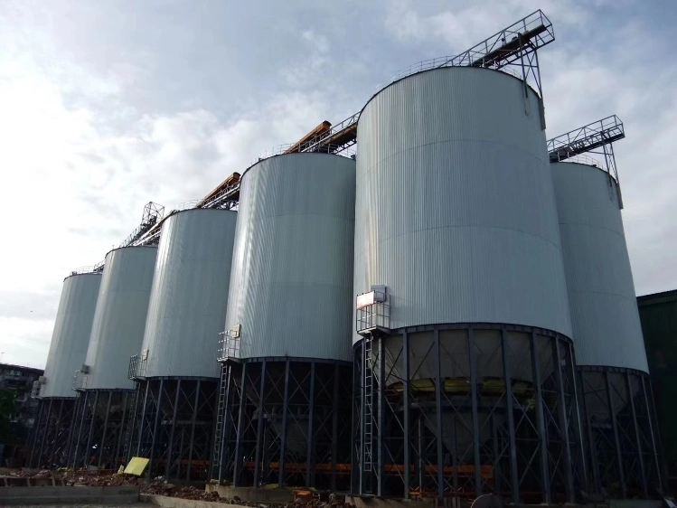 Steel Bins and Silos System to Store Rice Husk